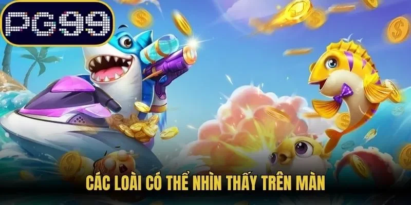 Các loài có thể nhìn thấy trên màn