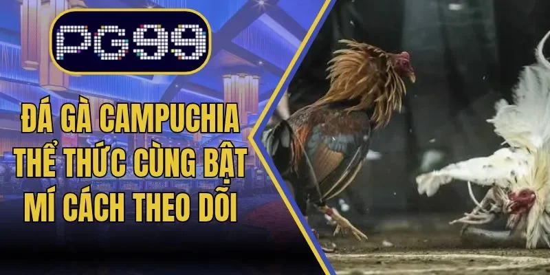 https://pg999thgame.com/da-ga-campuchia/