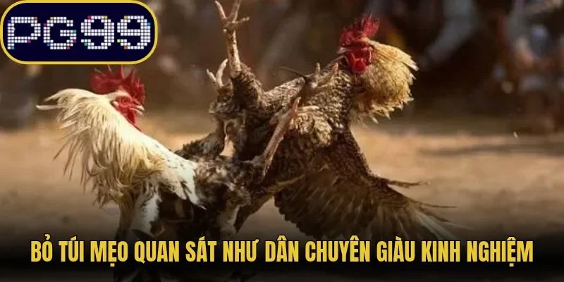 Bỏ túi mẹo quan sát như dân chuyên giàu kinh nghiệm