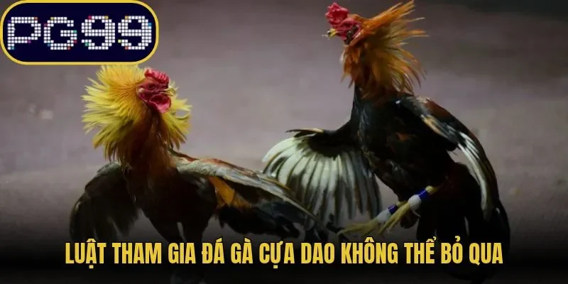 Luật tham gia đá gà cựa dao không thể bỏ qua