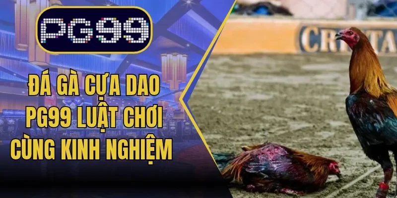 Đá Gà Cựa Dao PG99 Luật Chơi Cùng Kinh Nghiệm Theo Dõi