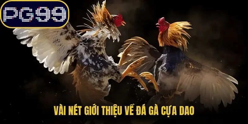 Vài nét giới thiệu về đá gà cựa dao