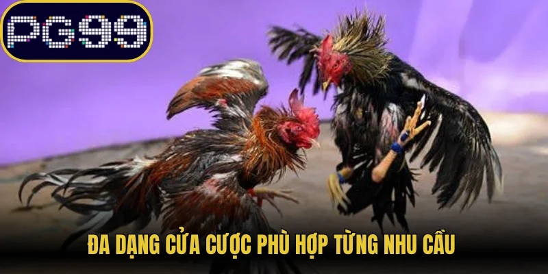 Đa dạng cửa cược phù hợp từng nhu cầu
