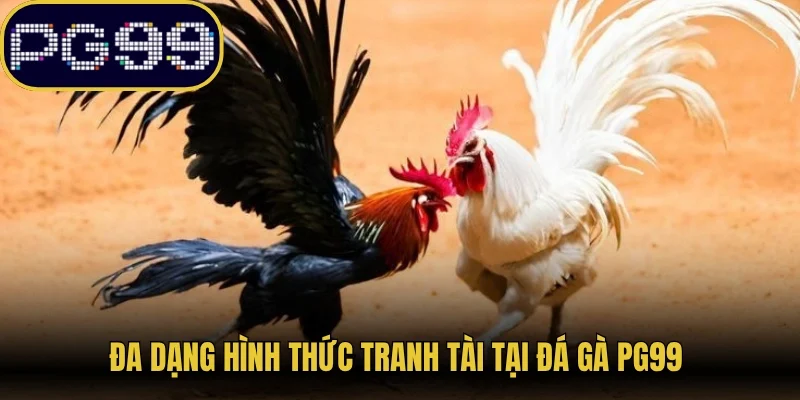 Đa dạng hình thức tranh tài tại đá gà PG99