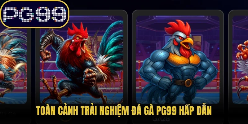Toàn cảnh trải nghiệm đá gà PG99 hấp dẫn