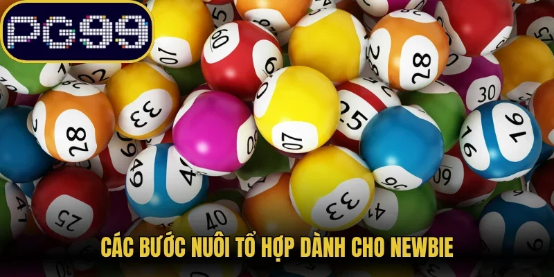 Các bước nuôi tổ hợp dành cho newbie