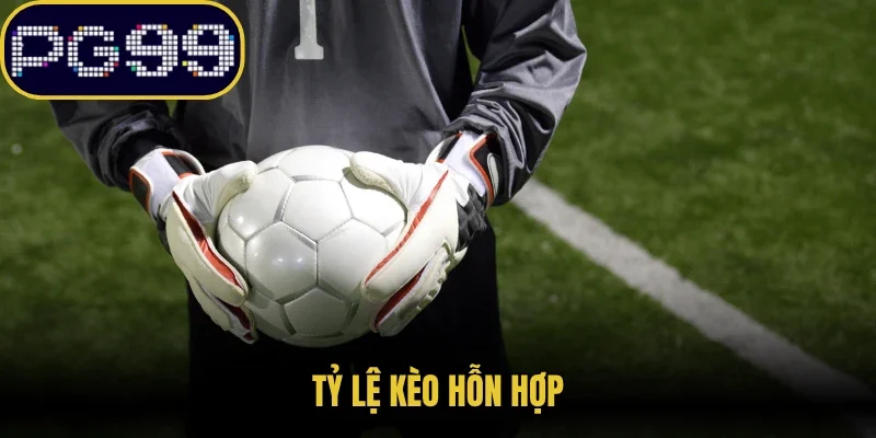 Tỷ lệ kèo hỗn hợp