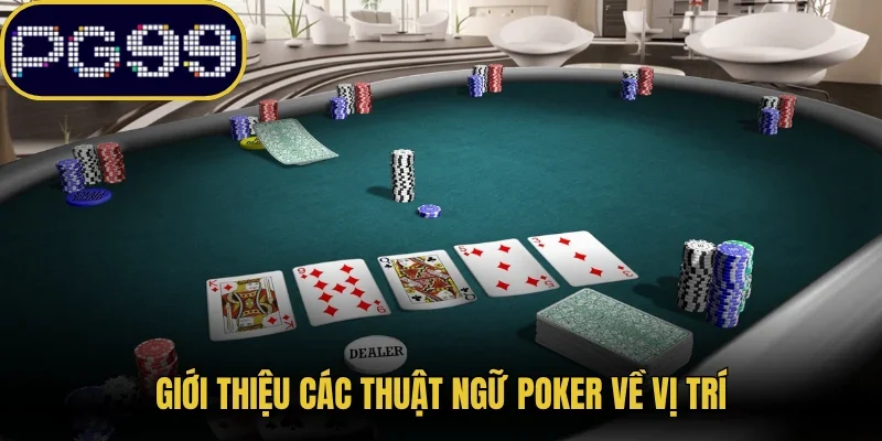 Giới thiệu các thuật ngữ Poker về vị trí