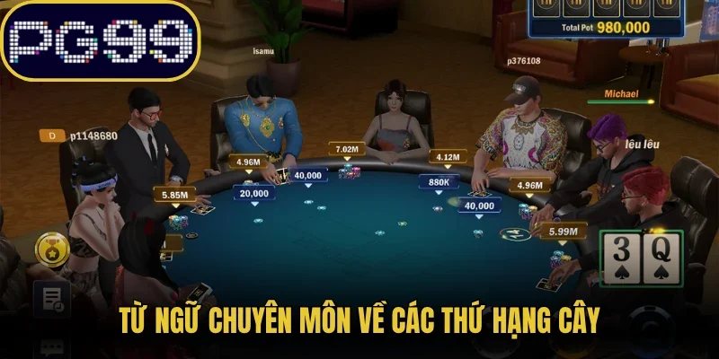 Từ ngữ chuyên môn về các thứ hạng cây