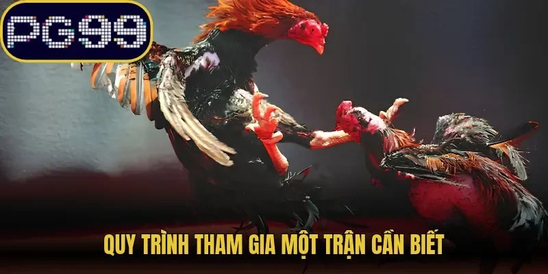 Quy trình tham gia một trận cần biết
